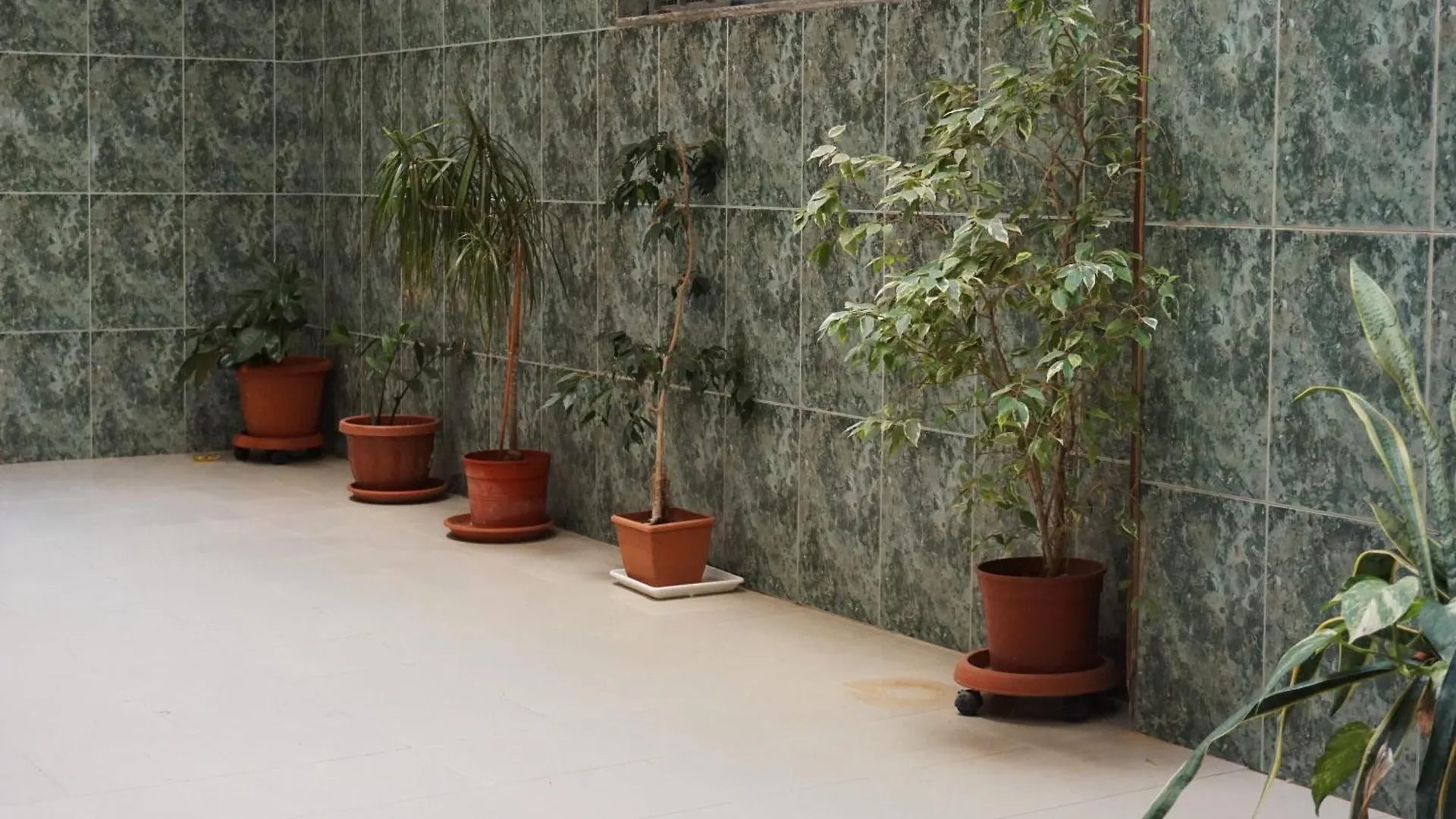 Ninetta Apartment Trapani