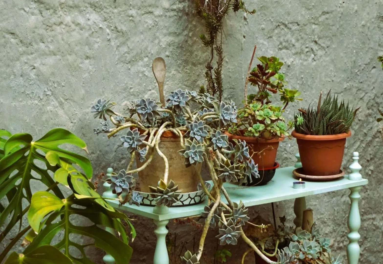 Ninetta Apartment Trapani 0*,  Italy